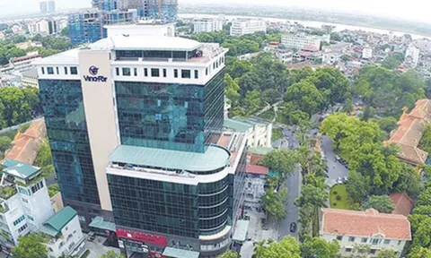 Vinafor phải nộp hơn 1,3 tỷ do vi phạm hành chính về thuế