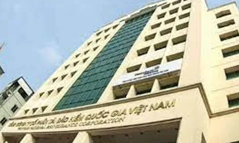 Tái bảo hiểm Vinare bị xử lý vi phạm về thuế