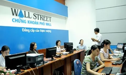 Vi phạm trong lĩnh vực chứng khoán, Chứng khoán phố Wall (WSS) bị phạt nặng