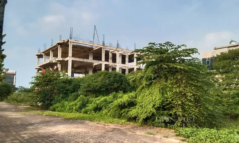 Dự án Thanh Hà Cienco 5 "đổi chủ": Ai được hưởng lợi?