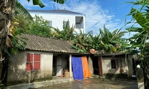Quảng Bình: Chiếm đất hàng xóm, Phó bí thư xã vẫn “thoát” kỷ luật