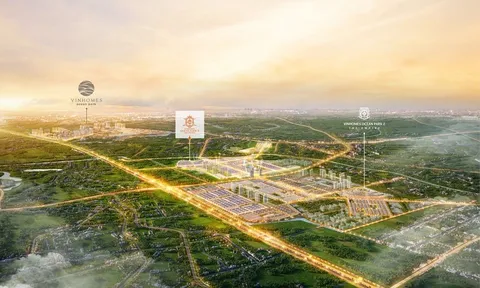 Công ty quản lý, đầu tư bất động sản vừa “ra đời” đã trở thành “ông lớn” tại Vingroup (VIC)