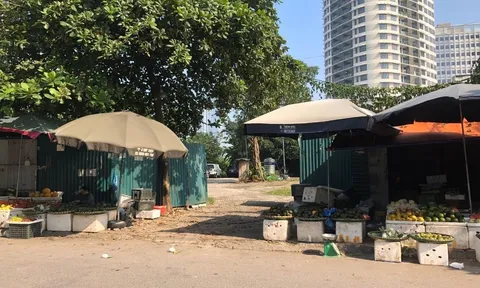 Cầu Giấy (Hà Nội): Xót xa cảnh “đất vàng” bỏ hoang của Constrexim Holdings