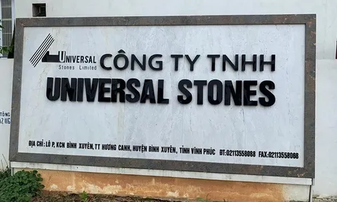 Nợ thuế hơn 4,8 tỷ đồng, Công ty Universal Stones bị dừng làm thủ tục hải quan