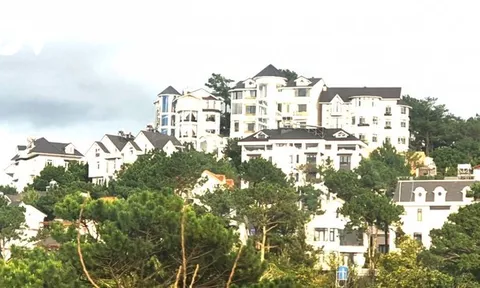 Đà Lạt phạt một doanh nghiệp 110 triệu đồng vì xây dựng sai phép