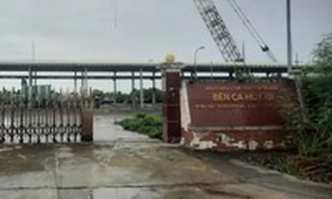 Cà Mau: Vì sao bến cá Hố Gùi đầu tư hơn 70 tỷ đồng bị bỏ hoang?