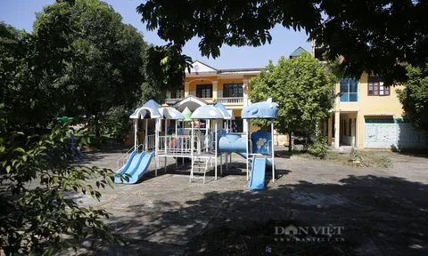 Lý do bất ngờ ở cùng một phường, nhưng có trường bốc thăm giành suất học mầm non, trường lại bỏ không