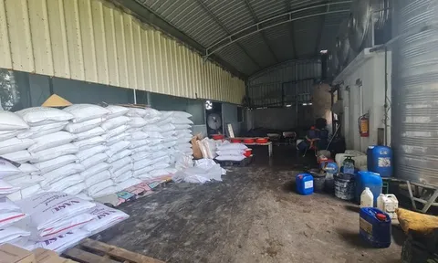 Công ty Thực phẩm Hoa Sen xả thải: Chính quyền địa phương bất lực, người dân khốn khổ?