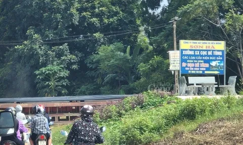 Thanh Hóa: Công ty Sơn Hà vi phạm hành lang đê điều, chính quyền huyện ở đâu?