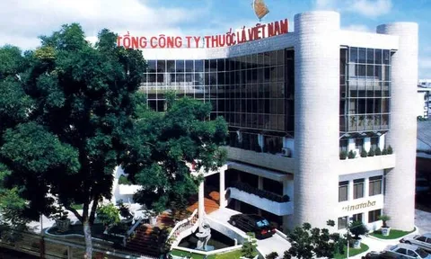 Thanh tra Chính phủ: Vinataba chuyển nhượng gần 3,1 ha đất vàng tại TP HCM sai quy định
