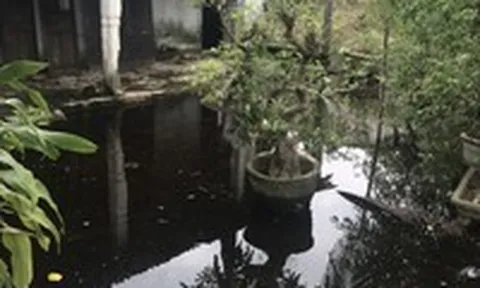 Dự án 215 tỷ ở TT-Huế gây ngập úng nghiêm trọng: Yêu cầu chủ đầu tư khẩn trương khắc phục