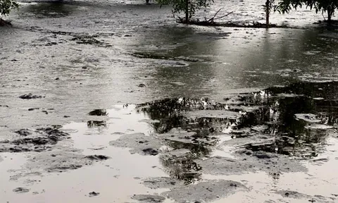 Bà Rịa – Vũng Tàu: Vỡ đập hồ chứa chất thải sinh hoạt rộng hàng nghìn mét vuông của Công ty Đại Nam