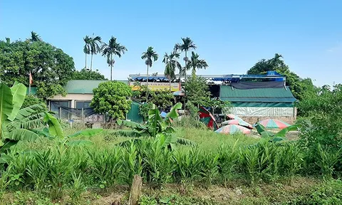 Quốc Oai: Hàng loạt công trình có dấu hiệu vi phạm trên đất nông nghiệp tại xã Ngọc Mỹ, trách nhiệm thuộc về ai?