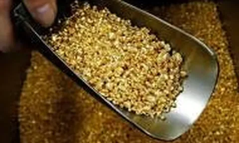 Giá vàng hôm nay 7/11: Ổn định trong phiên đầu tuần