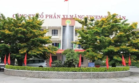 Khai sai thuế thu nhập, Xi măng Vicem Hải Vân bị phạt và truy thu hàng tỷ đồng