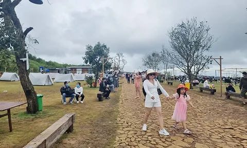 Cương quyết cưỡng chế điểm du lịch tự phát Sky Panorama Phú Yên nếu không chủ động khắc phục