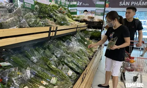 Nỗi lo rau bẩn “đội lốt rau sạch” vào siêu thị