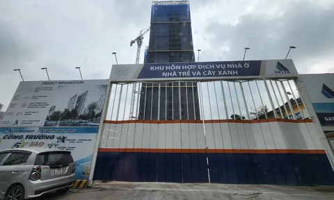 “Chỉ định” nhà đầu tư tại dự án Khu hỗn hợp dịch vụ, nhà ở, nhà trẻ và cây xanh có đúng luật?