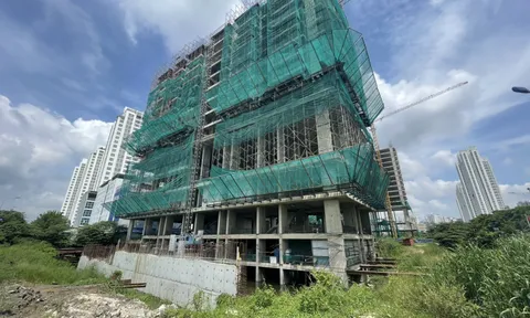 TP. HCM: Cần xem xét tính pháp lý trong việc giao đất công không qua đấu giá tại dự án Park Vistar