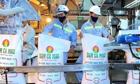 Đạm Cà Mau bị xử phạt, truy thu hơn 6 tỷ đồng do vi phạm về thuế