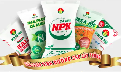 Phân bón Cà Mau bị phạt và truy thu thuế 6,1 tỷ đồng