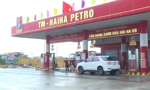 Âm vốn 1.664 tỷ đồng, ‘đại gia’ xăng dầu Hải Hà vẫn mang cho vay nghìn tỷ