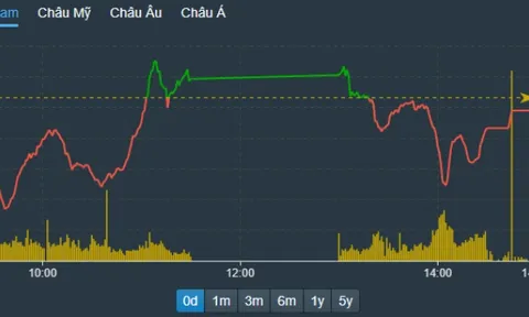 Chứng khoán phiên 31/5: VN-Index giảm nhẹ, cổ phiếu hoá chất tăng khá