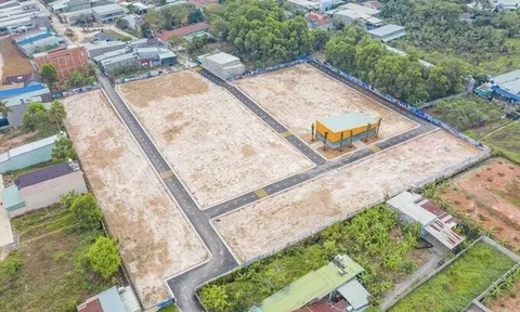 Thanh tra toàn diện các dự án, đất đai tại tỉnh Đồng Nai