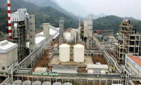 Nhiều “ông lớn” nhà nước lớn đầu tư thua lỗ lớn, sử dụng đất không hiệu quả