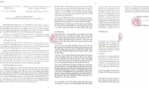 Đồng Tháp: Vì sao Công ty Cổ phần Gia Bảo Hồng Ngự phải xin gia hạn sử dụng đất?