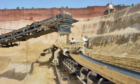 Chuyển đất rừng sang đất sản xuất, Công ty CP Thanh Tâm bị phạt 150 triệu đồng