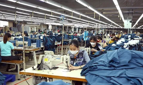 Sản xuất công nghiệp lan rộng gam màu sáng