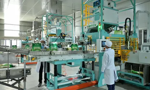 PAN Group huy động vốn từ phát hành cổ phiếu thưởng và chào bán cho cổ đông