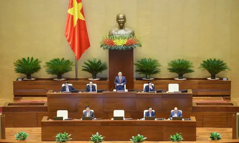 Bộ trưởng Trần Hồng Hà: Nhiều mô hình tập trung về đất đai trong sản xuất nông nghiệp rất thành công