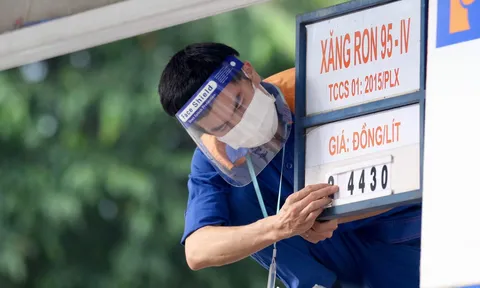 Giá xăng dầu hôm nay 10/6: Cập nhật giá xăng dầu trong nước, quốc tế