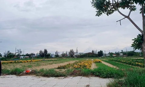 Các dự án của Công ty cổ phần Bách Đạt An: Lấy quyền lợi của dân làm “con tin”