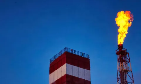 Giá gas hôm nay tiếp tục lao dốc