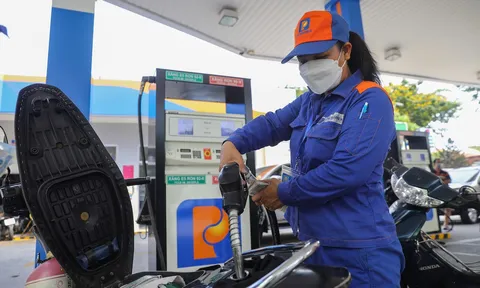 Giá xăng dầu hôm nay 15/6: Cập nhật giá xăng dầu trong nước, quốc tế