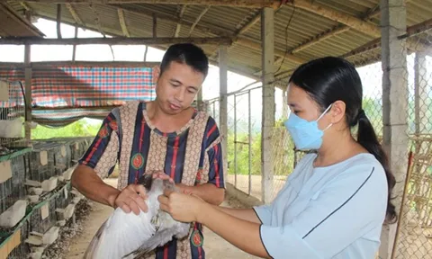 Tiếp sức cho hộ mới thoát nghèo phát triển kinh tế bền vững