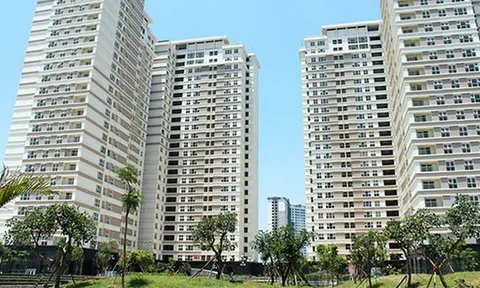 Nhu cầu tìm kiếm bất động sản cho thuê tăng cao