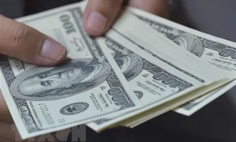 Thành viên ban điều hành Fed khẳng định Ngân hàng Dự trữ liên bang Mỹ đang tập trung vào việc ổn định giá cả và nếu số liệu như kỳ vọng, không loại trừ khả năng Fed tiếp tục tăng lãi suất vào tháng 7.