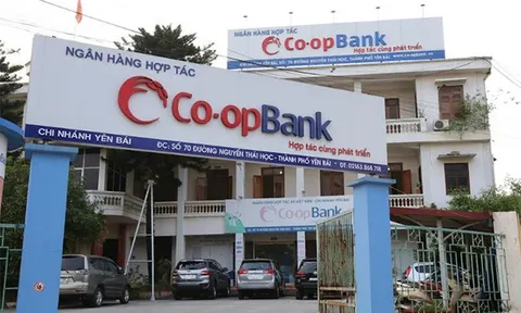 Nhân viên ngân hàng Hợp tác xã Việt Nam Co-opBank lừa đảo hàng trăm người