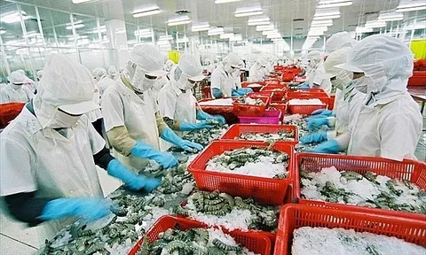 Một cổ phiếu thủy sản liên tiếp "bay cao" bất chấp thị trường "lao dốc"