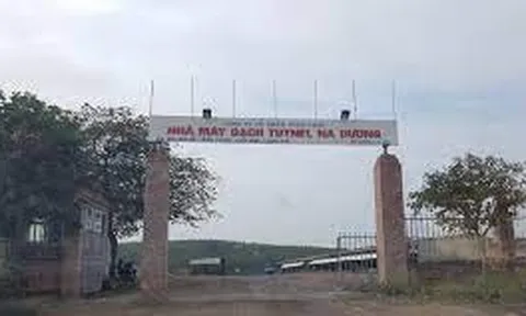 Lạng Sơn: Công ty Cổ phần Toàn Phát - Bài 1: Người lao động khổ vì không BHXH