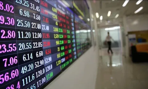 Lừa đảo sàn giao dịch chứng khoán quốc tế, cảnh sát điều tra cảnh báo nóng