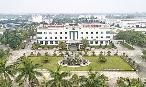 Công ty Cổ phần Tập đoàn Phúc Lộc và các đơn vị liên danh tiếp tục để xảy ra vi phạm tại nhiều dự án