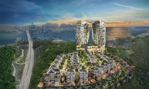 Thông qua hợp đồng góp vốn, chủ đầu tư Phoenix Legend Hạ Long bán dự án trái phép?