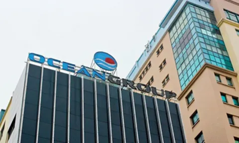Ocean Group (OGC) giải trình ra sao về việc cổ phiếu vào diện cảnh báo?