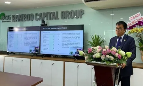Bamboo Capital nhận và thực hiện quyền chuyển đổi 128,75 tỷ đồng trái phiếu Tracodi