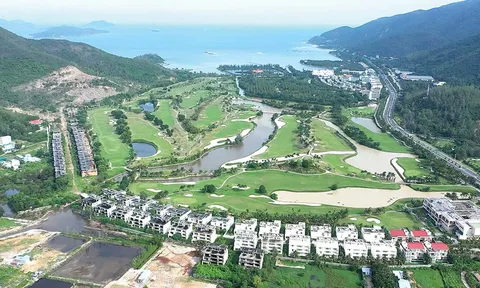 Dự án Khu du lịch và giải trí Sông Lô: Ai đã chôn vùi những “bí ẩn”? (Bài 1): Chuyển đổi trái quy định hơn 25 ha đất